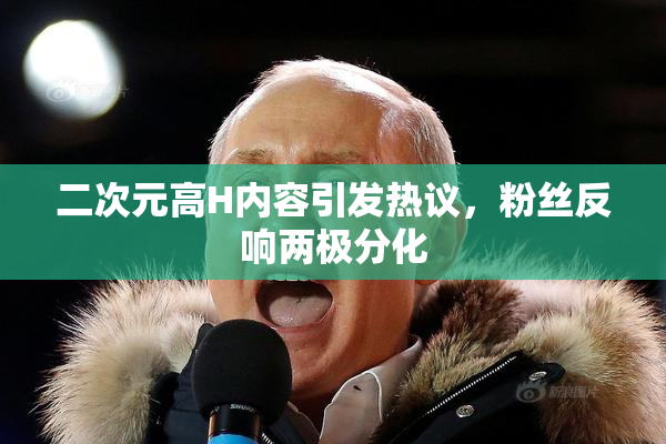二次元高H内容引发热议，粉丝反响两极分化