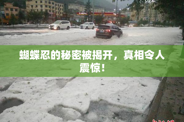 蝴蝶忍的秘密被揭开，真相令人震惊！