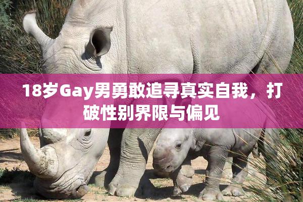18岁Gay男勇敢追寻真实自我，打破性别界限与偏见