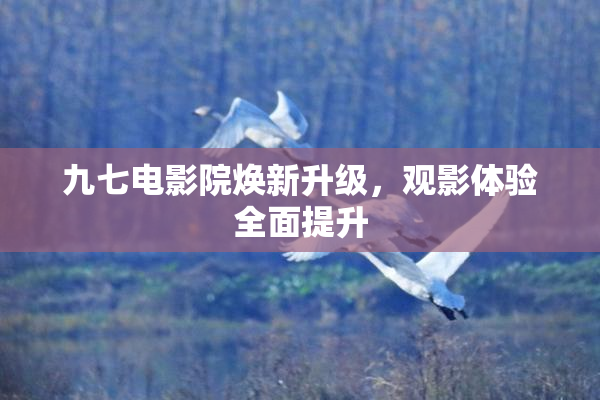 九七电影院焕新升级，观影体验全面提升