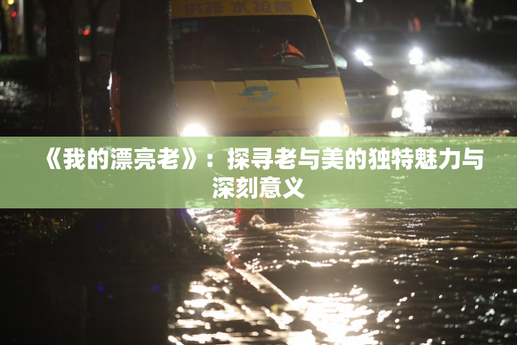 《我的漂亮老》：探寻老与美的独特魅力与深刻意义