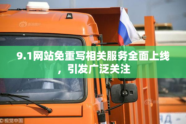 9.1网站免重写相关服务全面上线，引发广泛关注