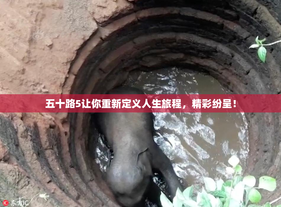 五十路5让你重新定义人生旅程，精彩纷呈！