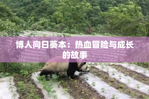 博人向日葵本：热血冒险与成长的故事