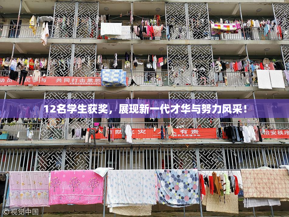 12名学生获奖，展现新一代才华与努力风采！