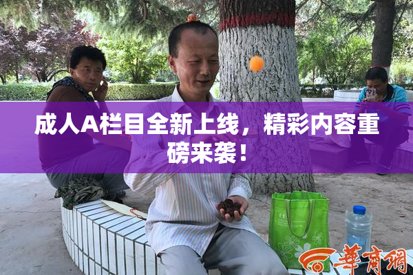 成人A栏目全新上线，精彩内容重磅来袭！