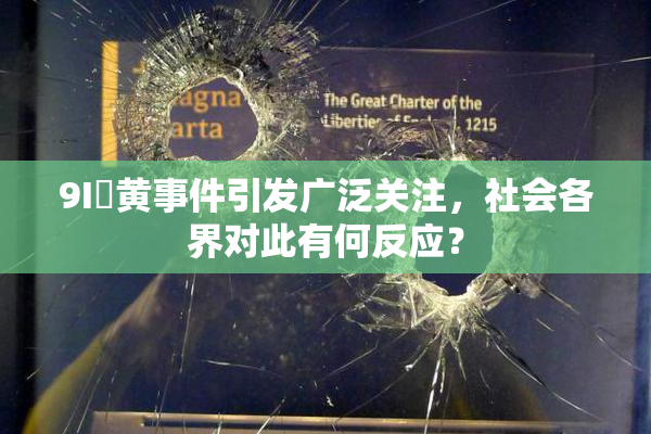 9I婬黄事件引发广泛关注，社会各界对此有何反应？