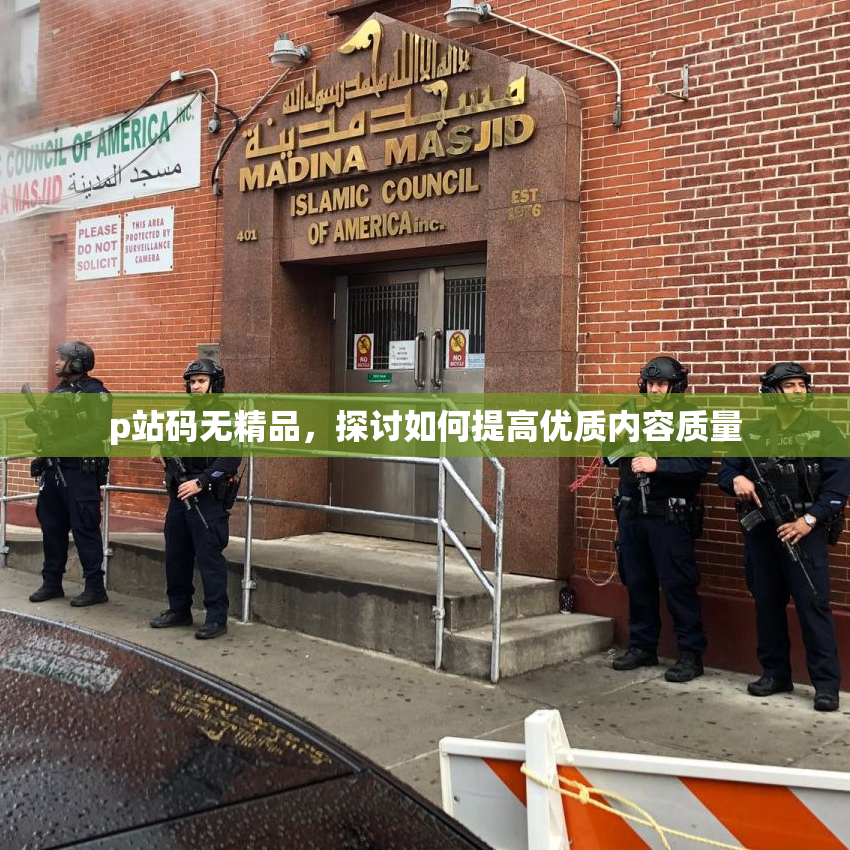 p站码无精品，探讨如何提高优质内容质量