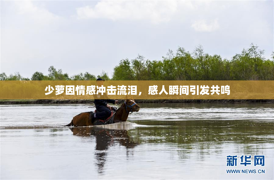 少萝因情感冲击流泪，感人瞬间引发共鸣