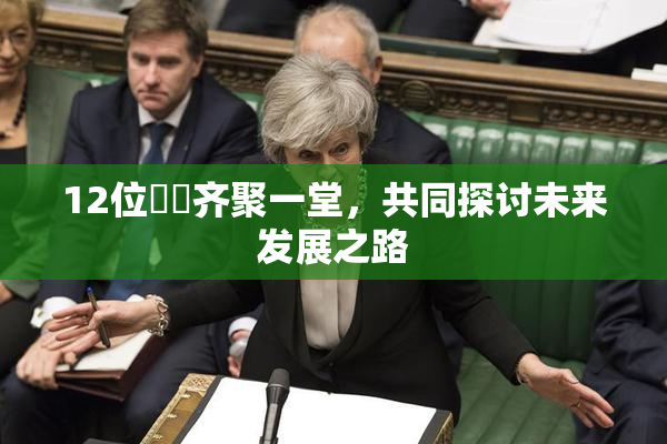 12位妺妺齐聚一堂，共同探讨未来发展之路