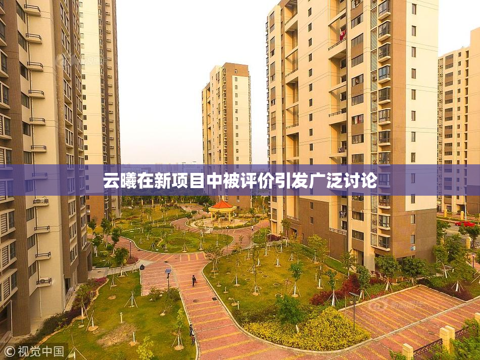 云曦在新项目中被评价引发广泛讨论
