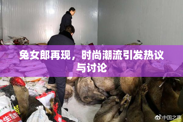 兔女郎再现，时尚潮流引发热议与讨论