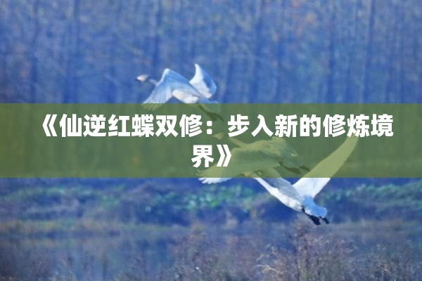 《仙逆红蝶双修：步入新的修炼境界》