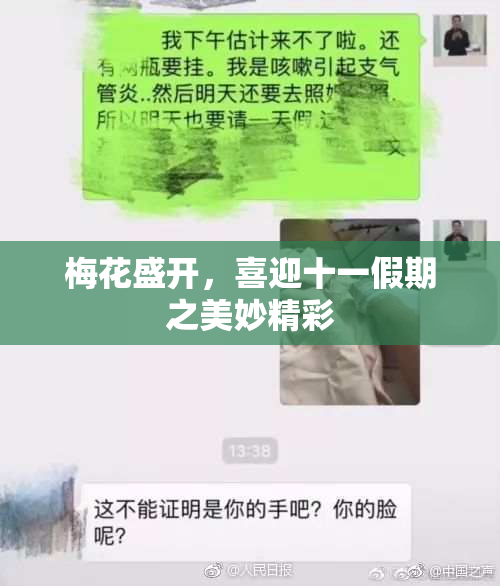 梅花盛开，喜迎十一假期之美妙精彩