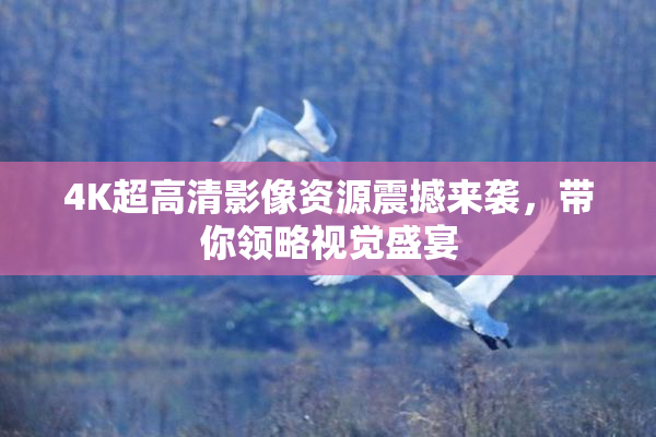 4K超高清影像资源震撼来袭，带你领略视觉盛宴
