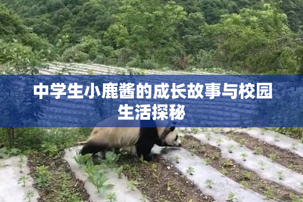 中学生小鹿酱的成长故事与校园生活探秘