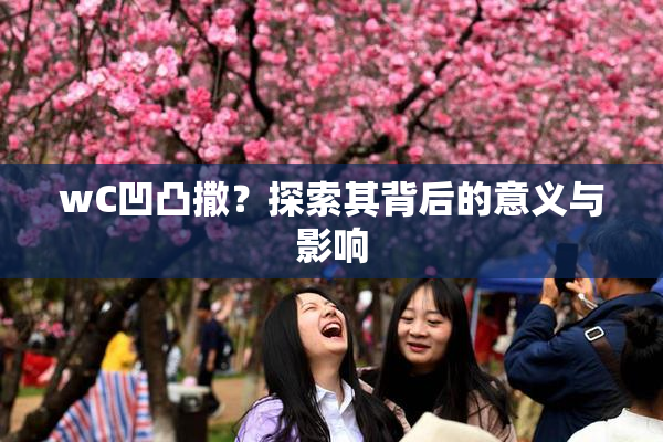 wC凹凸撒？探索其背后的意义与影响