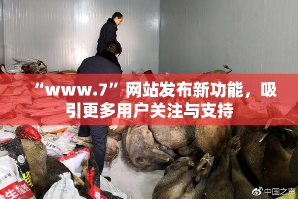 “www.7”网站发布新功能，吸引更多用户关注与支持