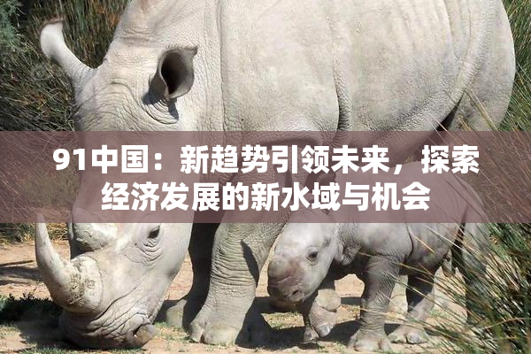 91中国：新趋势引领未来，探索经济发展的新水域与机会