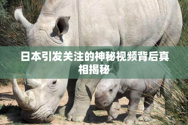 日本引发关注的神秘视频背后真相揭秘