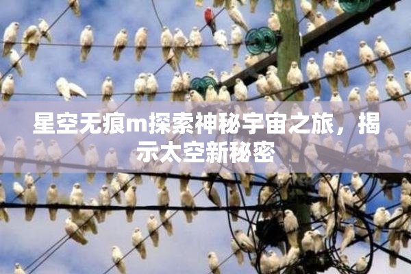 星空无痕m探索神秘宇宙之旅，揭示太空新秘密
