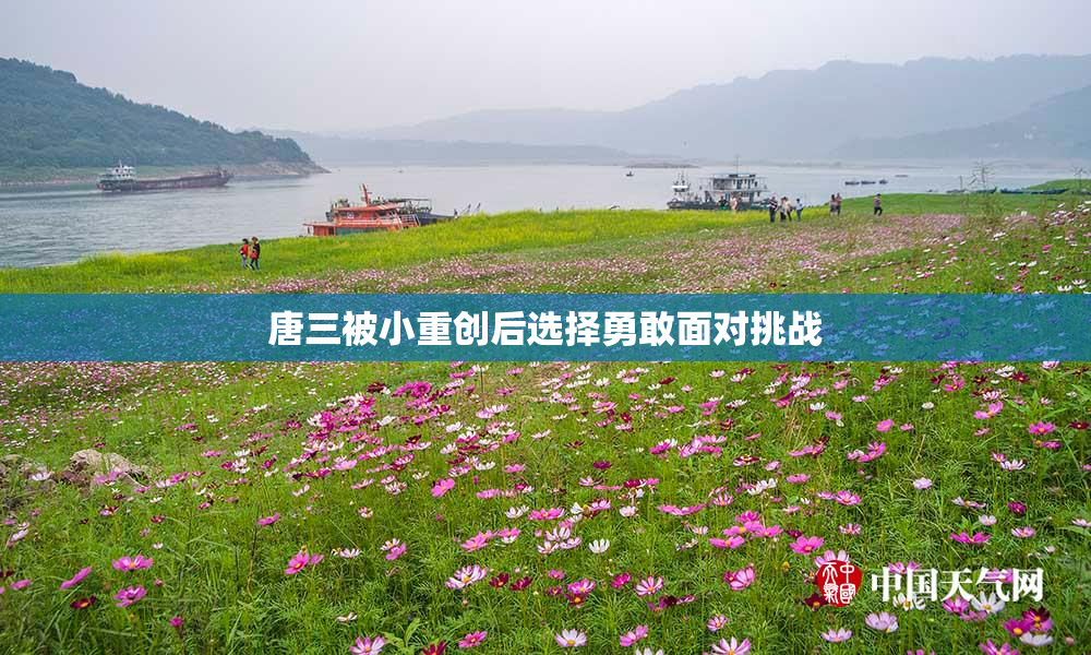 唐三被小重创后选择勇敢面对挑战