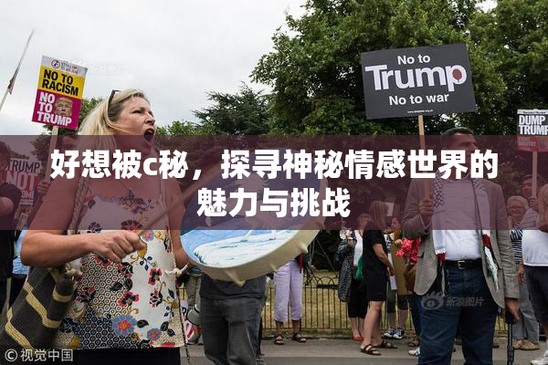 好想被c秘，探寻神秘情感世界的魅力与挑战