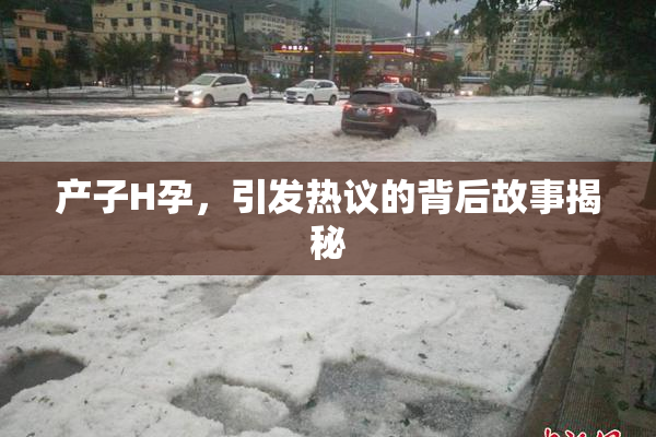 产子H孕，引发热议的背后故事揭秘