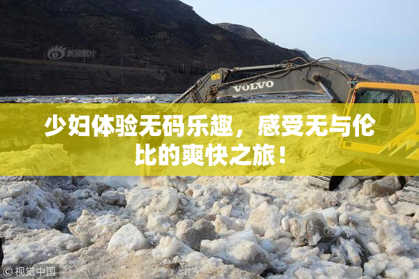 少妇体验无码乐趣，感受无与伦比的爽快之旅！