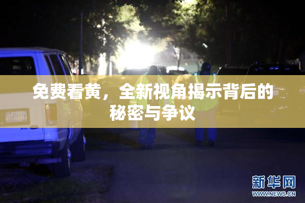 免费看黄，全新视角揭示背后的秘密与争议