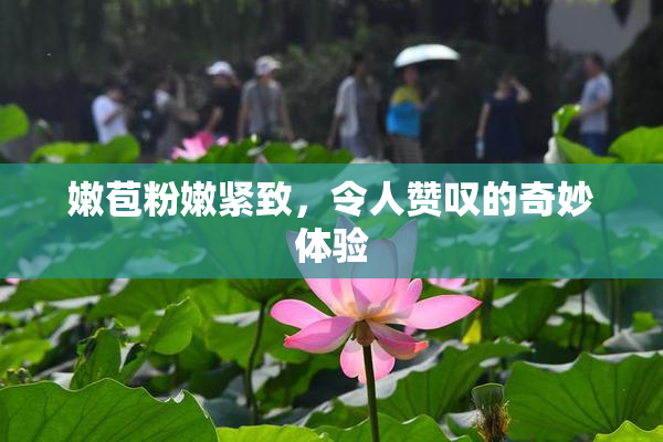 嫩苞粉嫩紧致，令人赞叹的奇妙体验