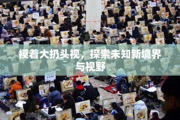 摸着大扔头视，探索未知新境界与视野