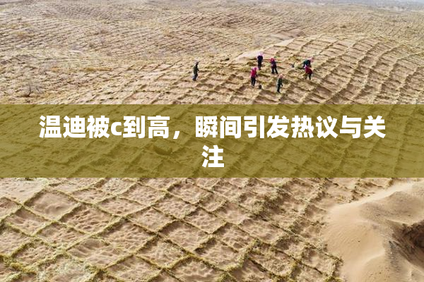 温迪被c到高，瞬间引发热议与关注