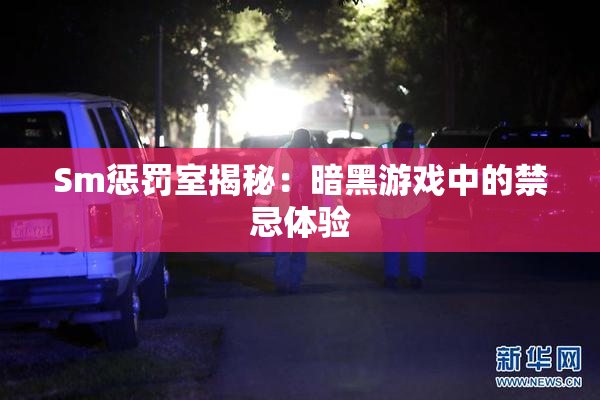 Sm惩罚室揭秘：暗黑游戏中的禁忌体验