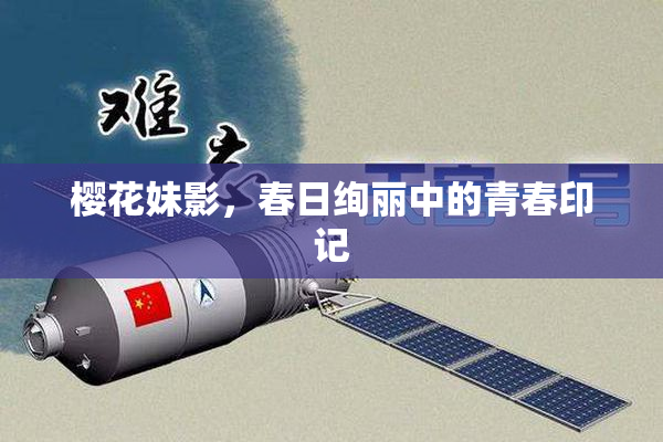 樱花妹影，春日绚丽中的青春印记