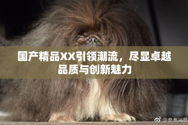 国产精品XX引领潮流，尽显卓越品质与创新魅力