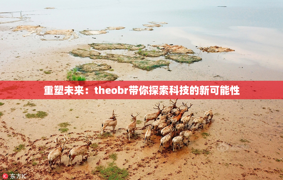 重塑未来：theobr带你探索科技的新可能性
