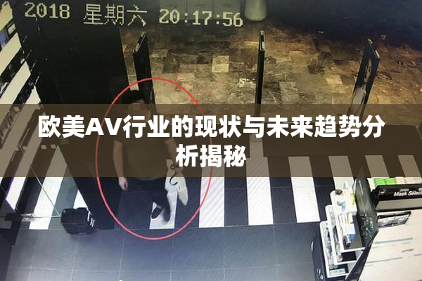 欧美AV行业的现状与未来趋势分析揭秘