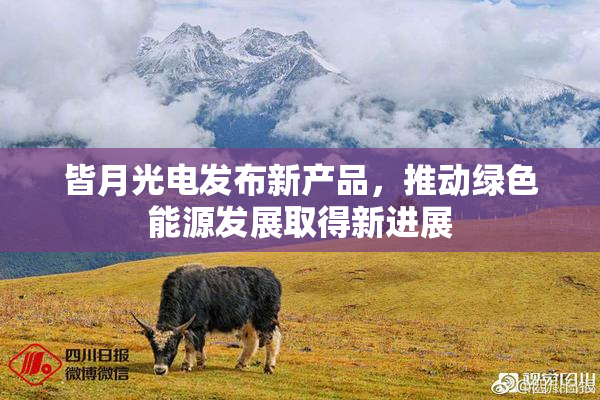 皆月光电发布新产品，推动绿色能源发展取得新进展