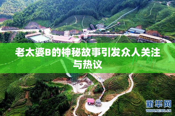 老太婆B的神秘故事引发众人关注与热议