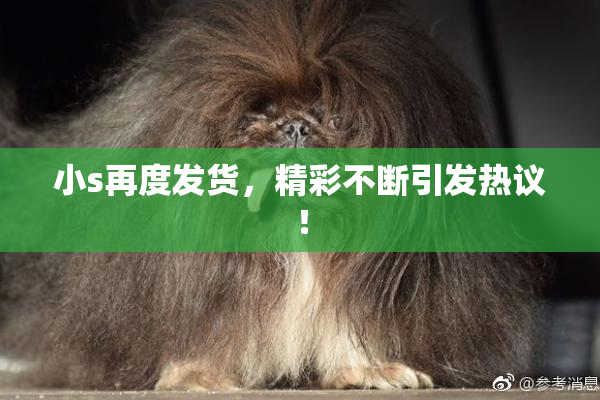 小s再度发货，精彩不断引发热议！