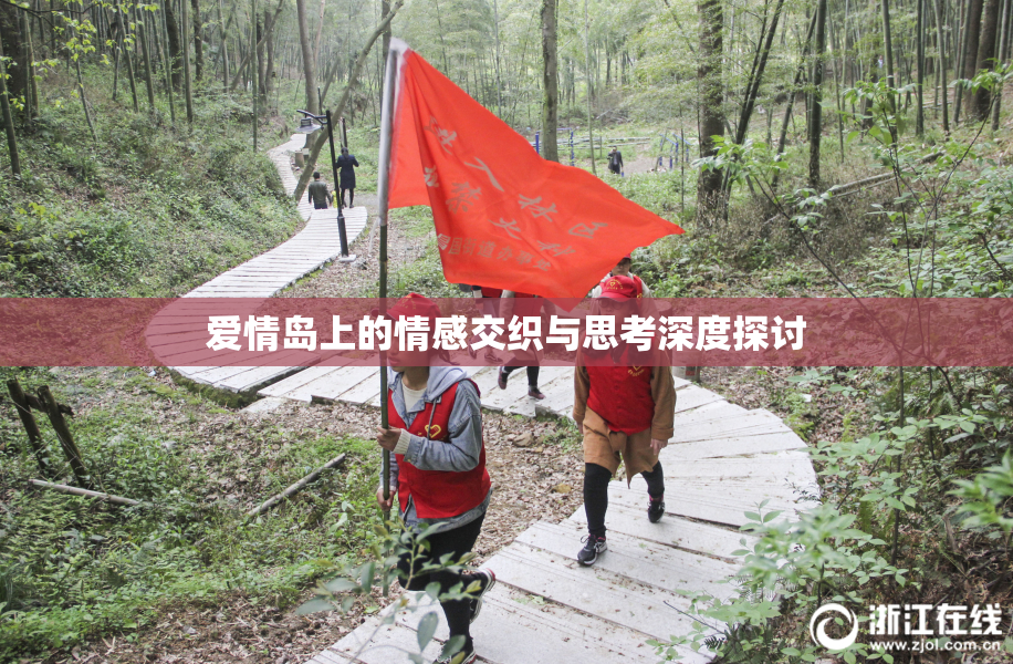 爱情岛上的情感交织与思考深度探讨