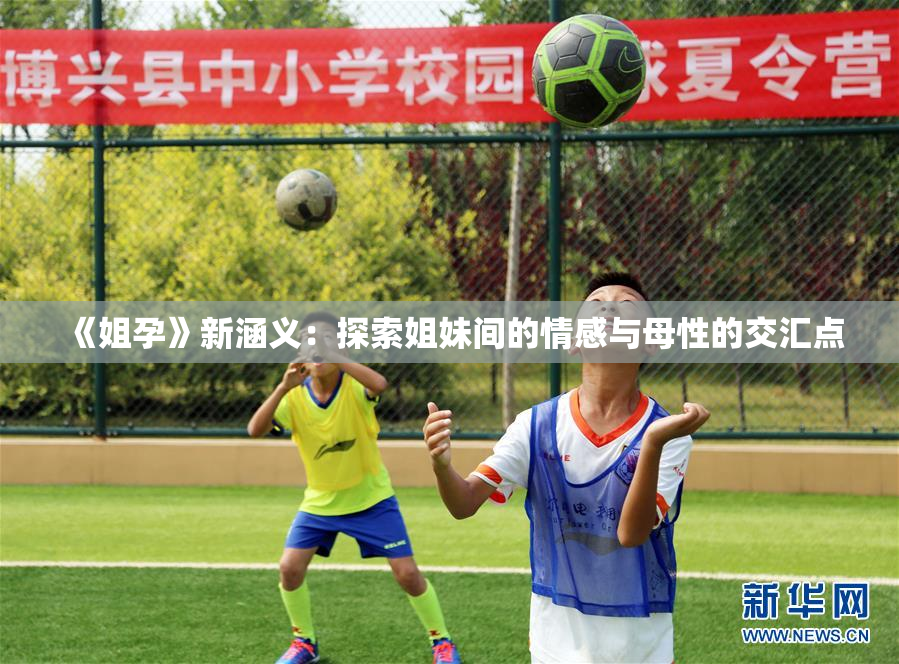 《姐孕》新涵义：探索姐妹间的情感与母性的交汇点