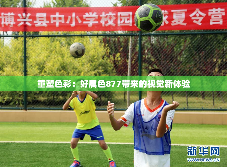 重塑色彩：好属色877带来的视觉新体验