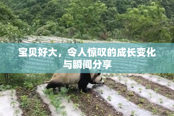 宝贝好大，令人惊叹的成长变化与瞬间分享