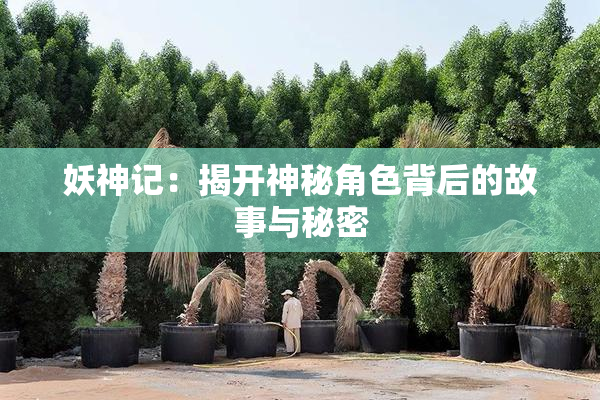 妖神记：揭开神秘角色背后的故事与秘密