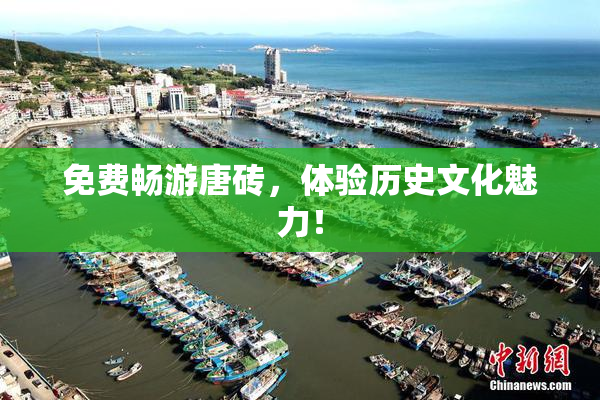 免费畅游唐砖，体验历史文化魅力！