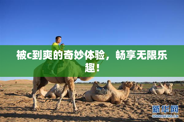 被c到爽的奇妙体验，畅享无限乐趣！