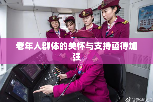 老年人群体的关怀与支持亟待加强