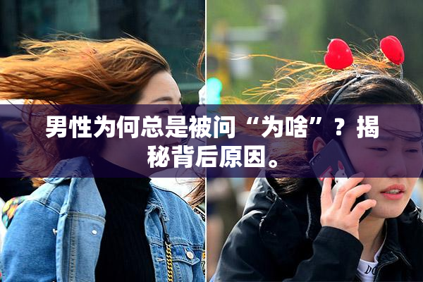 男性为何总是被问“为啥”？揭秘背后原因。